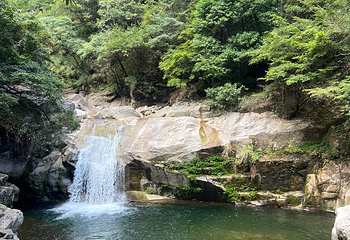 大鄣山卧龙谷第 29 张图片