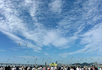 星海广场第 51 张图片