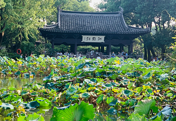 沈园第 67 张图片