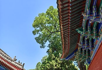 嵩山风景名胜区第 83 张图片