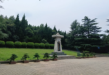 秦始皇帝陵博物院(兵马俑)第 305 张图片