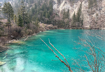 九寨沟风景区第 483 张图片