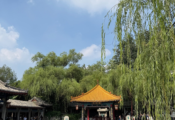 趵突泉景区第 217 张图片