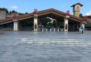 东北虎林园第 196 张图片
