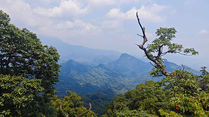 青城山第 102 张图片
