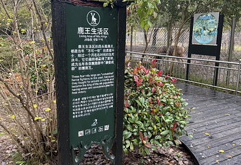 中华麋鹿园第 109 张图片