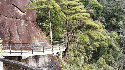 南海岸栈道第 1 张图片