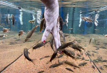丹麦国立水族馆第 26 张图片