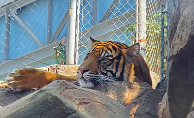 丹佛市区水族馆第 4 张图片
