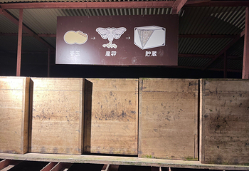 富岳风穴第 10 张图片