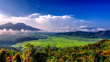 Lingko Spider Web Rice Fields