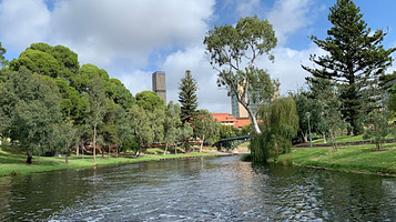 River Torrens Popeye Cruises