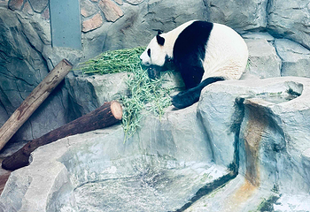 红山森林动物园第 194 张图片