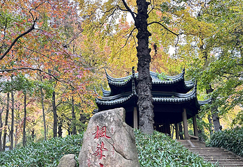 天平山第 54 张图片
