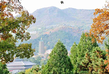 八大处公园第 30 张图片