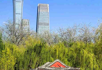 日坛公园第 61 张图片