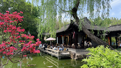 个园第 63 张图片