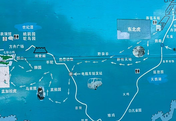 八达岭野生动物世界第 26 张图片