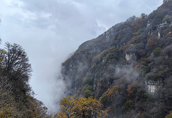 白石山世界地质公园第 148 张图片