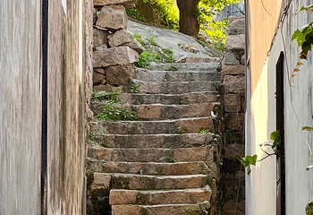 东山岛第 195 张图片