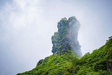 梵净山第 50 张图片