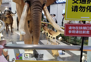 正佳广场商贸旅游区第 119 张图片