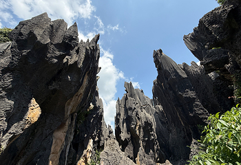 石林风景区第 78 张图片