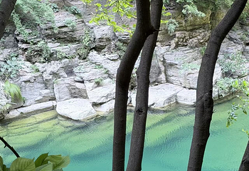 蟒河生态旅游区第 19 张图片