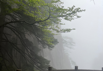 黄山风景区第 331 张图片