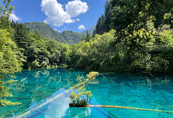 九寨沟风景区第 149 张图片