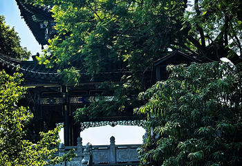 鸿恩寺公园第 86 张图片