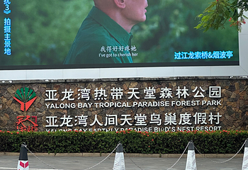 亚龙湾热带天堂森林公园第 268 张图片