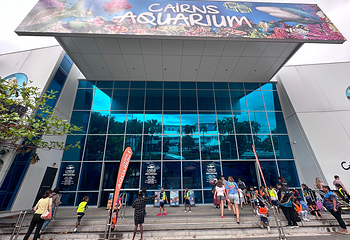 凯恩斯水族馆第 27 张图片