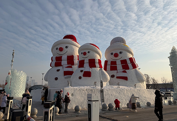 哈尔滨冰雪大世界第 414 张图片
