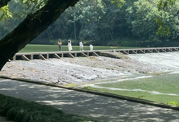 缙云仙都景区第 156 张图片