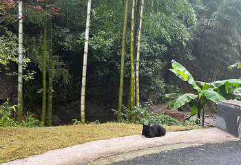 安吉灵溪山景区第 28 张图片