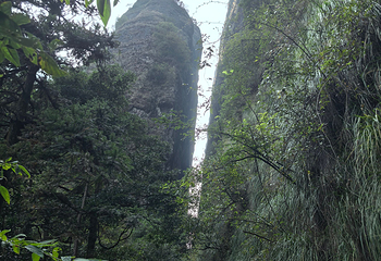 江郎山风景名胜区第 140 张图片