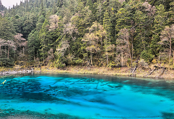 九寨沟风景区第 448 张图片