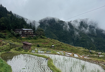 加榜梯田第 60 张图片