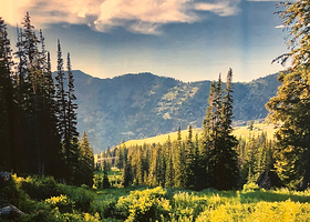 盐湖城市立公共图书馆