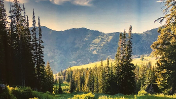 盐湖城市立公共图书馆