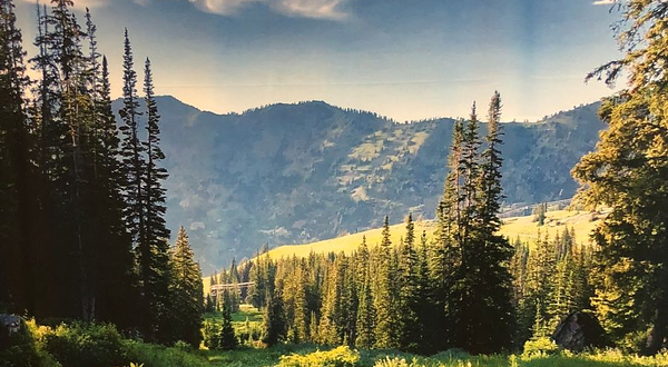 盐湖城市立公共图书馆