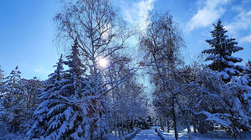 Nurgisa Tlendiev monument