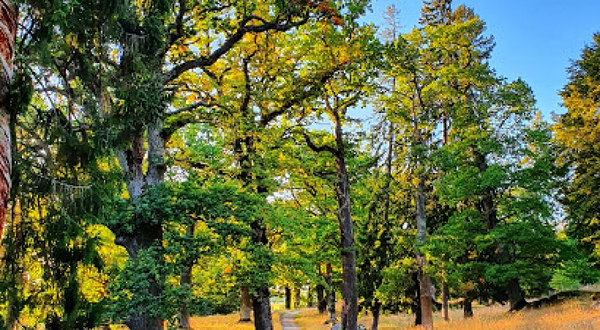 Gripsholm Deer Field Nature preserve