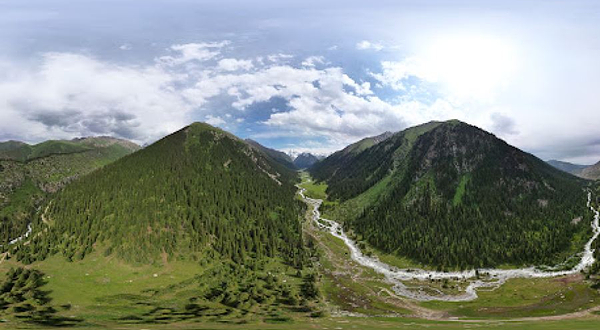 Nochnyye Prishel'tsy.