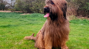 Cvičiště Mělník