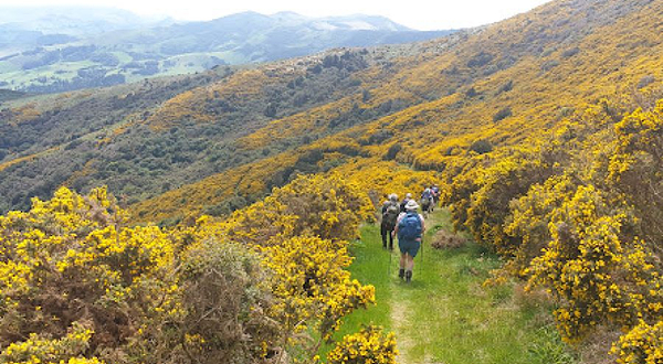 Akaroa Heritage Park