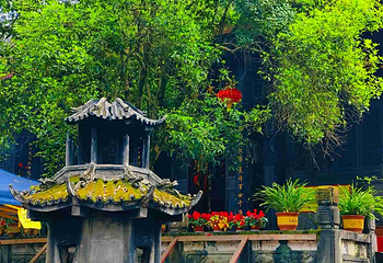 老君山第 7 张图片