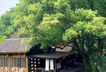 黄葛古道第 7 张图片