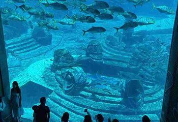 三亚亚特兰蒂斯失落的空间水族馆第 245 张图片